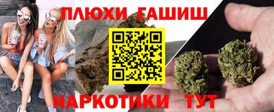 дмт Славгород