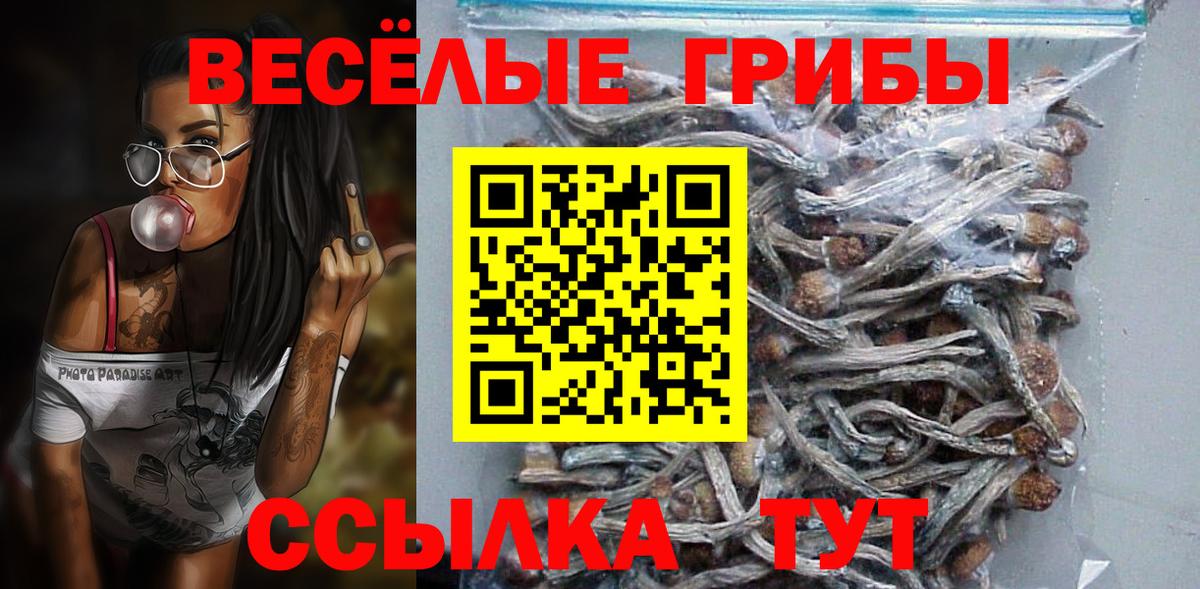 Псилоцибиновые грибы Psilocybe Новороссийск