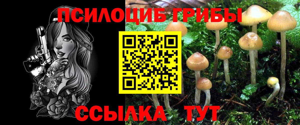 где можно купить наркотик  Галлюциногенные грибы Magic Shrooms  Вход с VPN  Новороссийск 